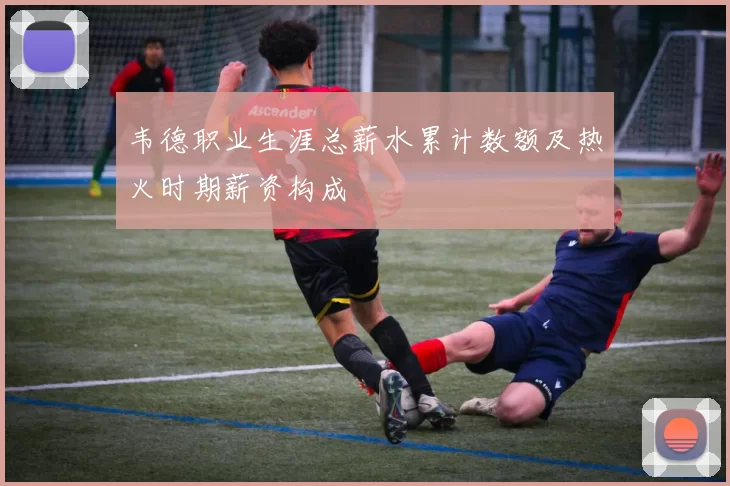 韦德职业生涯总薪水累计数额及热火时期薪资构成