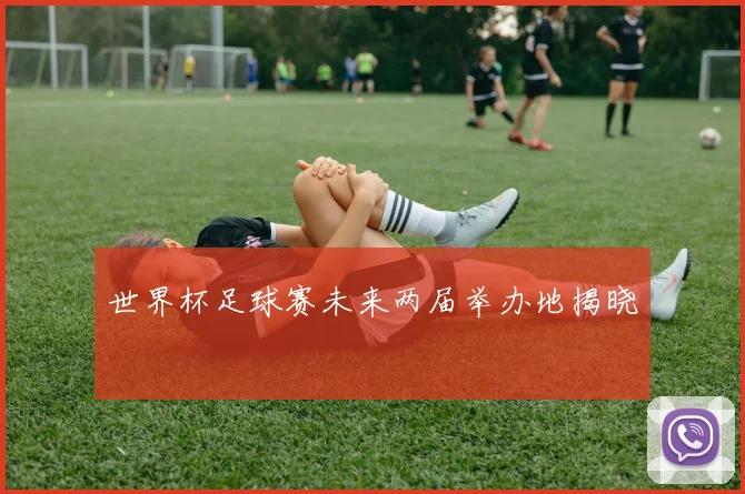 世界杯足球赛未来两届举办地揭晓