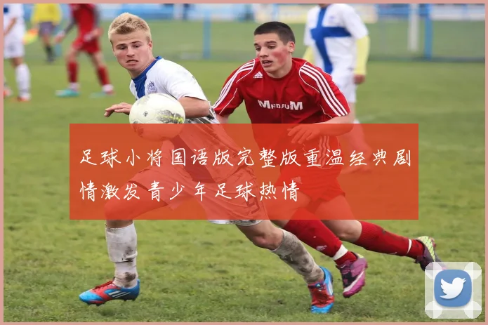 足球小将国语版完整版重温经典剧情激发青少年足球热情